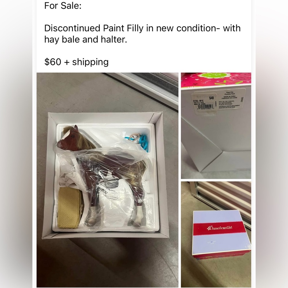 Discontinued AG Paint Filly